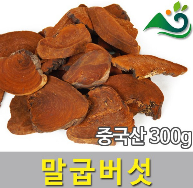 말굽버섯(300g)-중국산, 300g, 1개