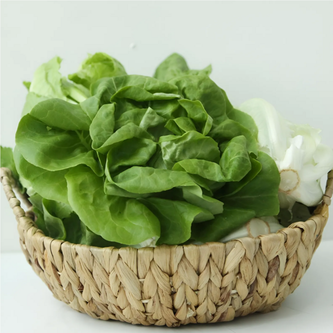 국내산 샐러드채소 유러피안 잎채소(3-6종), 1박스, 1kg