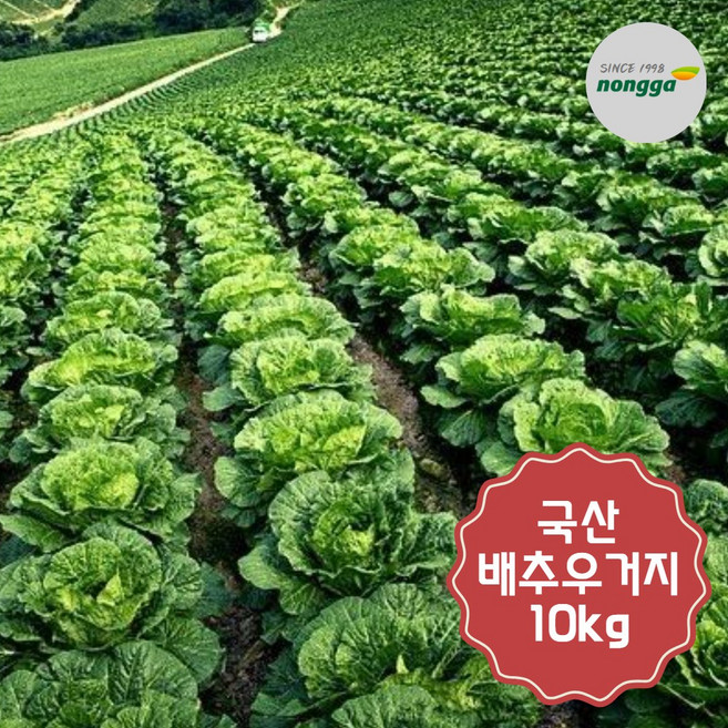 우선 최상급 국산 생지우거지 냉동, 1개, 10kg
