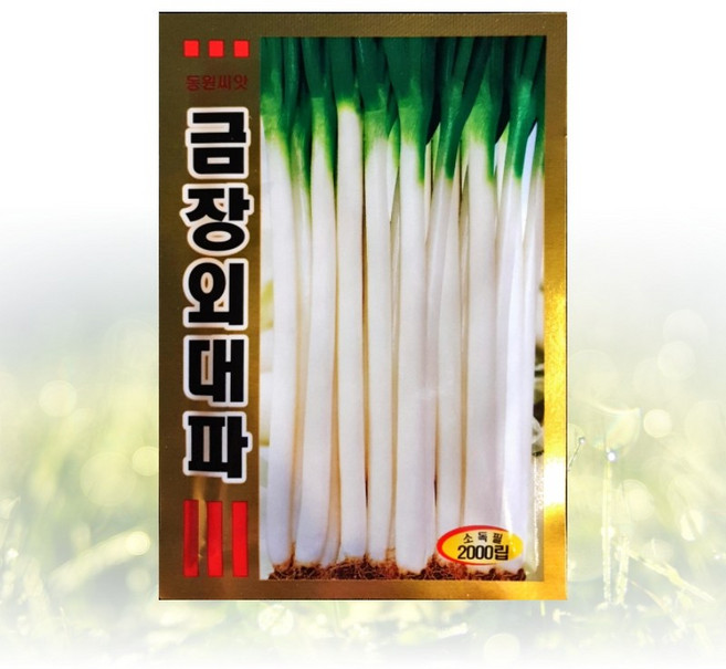 농사친구 금장외대파씨앗 2000립 동원 씨 종자 쪽파 고사리 김장 배추 무 항암 고수, 1개