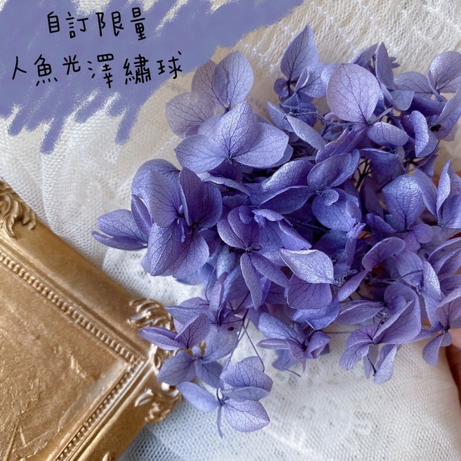 大地品質 繡球幻彩系列永生花 漸層不凋繡球花材 DIY玻璃罩花圈手作卡片裝飾, 紫藍冷色調