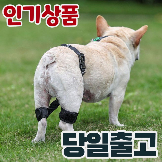 강아지 고관절 보호대 보호 보조 벨트 S, 1개, 블랙