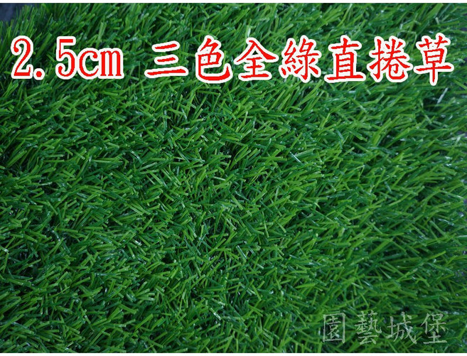 園藝城堡 人工草皮 草高2.5cm(寬100cm) 每單位長30cm 全綠直捲草 塑膠草皮, 1個