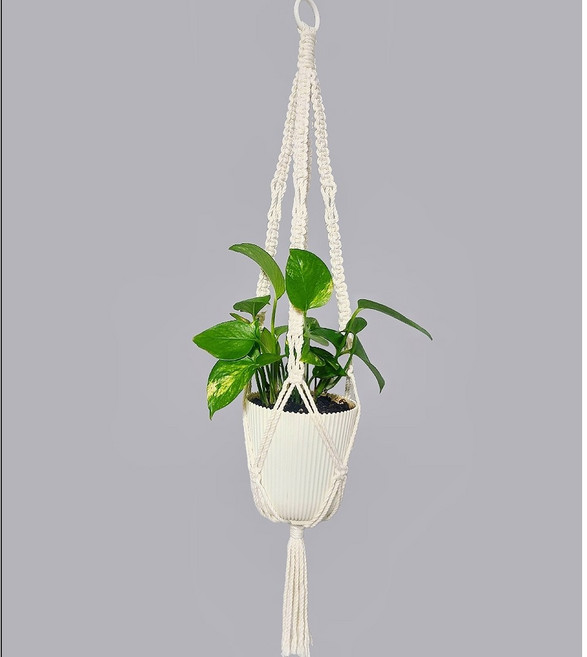 스윗포티 행잉 화분 벽걸이 침실 거실 홈데코, D