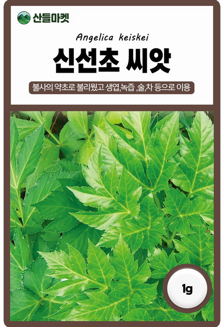 다농 신선초 씨앗 1g, 1개