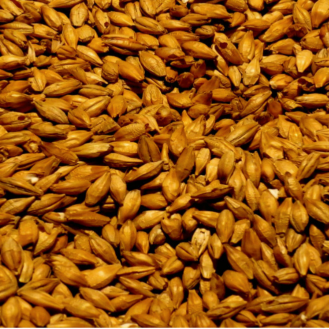 천년의미소 자연이준 선물 전통 건강차 보리 우엉 여주 국화차 작두콩, 1개, 400ml, 국내산 볶은 보리차400g