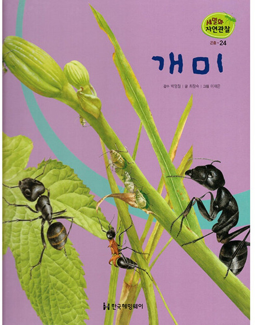 세밀화 자연관찰 24 개미 곤충, 한국헤밍웨이, 상세내용 참조