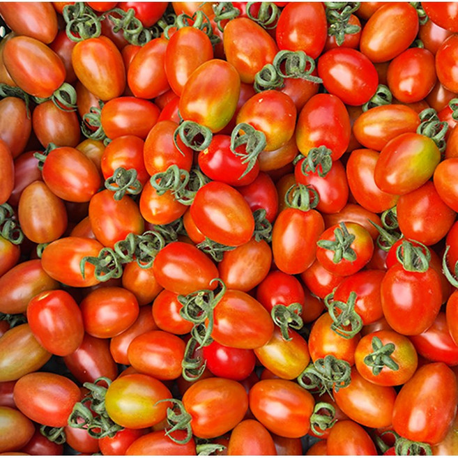 [참바래농장] 황토 흙에서 자란 당도 높은 산지직송 대추방울토마토 750g 3kg [전남 영암군], 1개