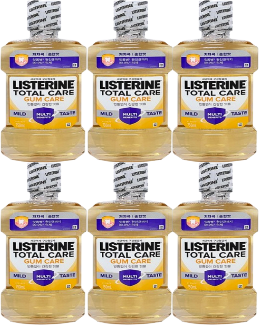 리스테린 검케어 마일드 250ml 6개