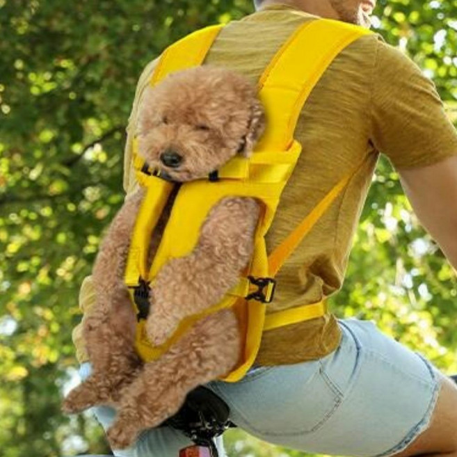 토도판다 강아지 고양이 프론트 백팩, 1개, 옐로우