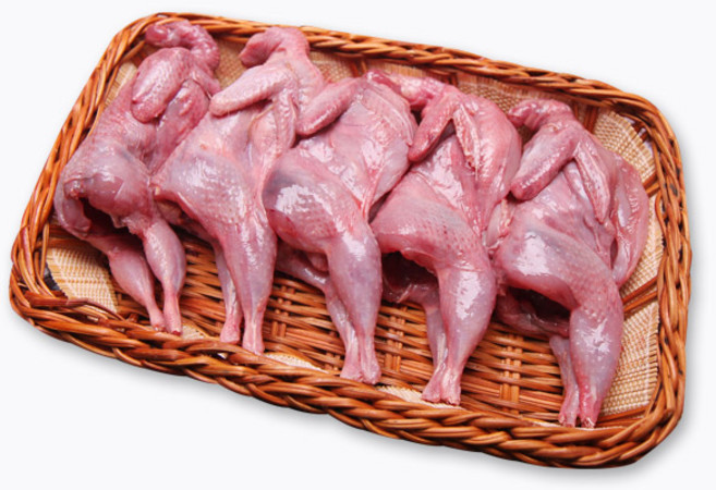 더펫코리아 원료육 메추리 10마리 애견간식, 1개, 메추리10수