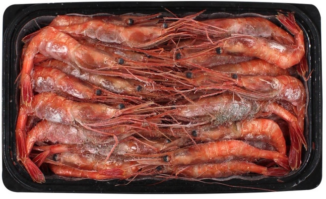 국내산 횟감 초밥용 단새우 홍새우 아마애비, 1개, 800g