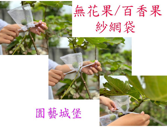 園藝城堡 水果套袋 束口紗網防蟲套, 1個