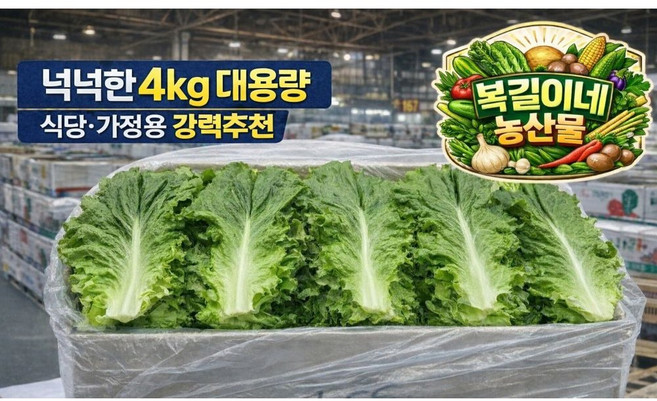 [복길이농산물] 국내산 상추 4kg 로메인상추, 1박스