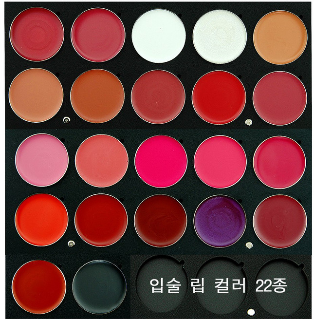 JX Professional 메이크업 국가자격증 입술 립컬러 3g 22색 컬러 단품, 1개, R9