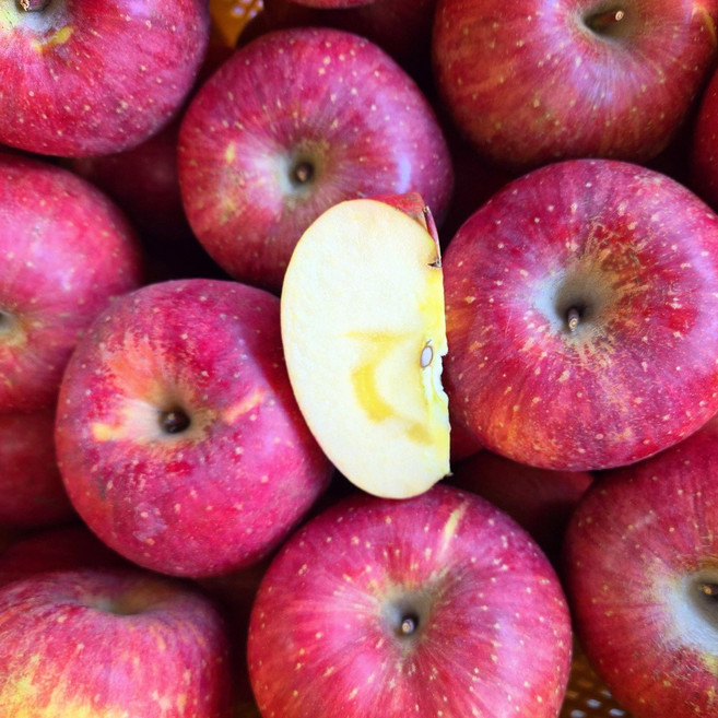 산지직송 문경사과 주스용 혼합과 5kg, 1개, 미얀마부사 주스용 혼합과 5kg