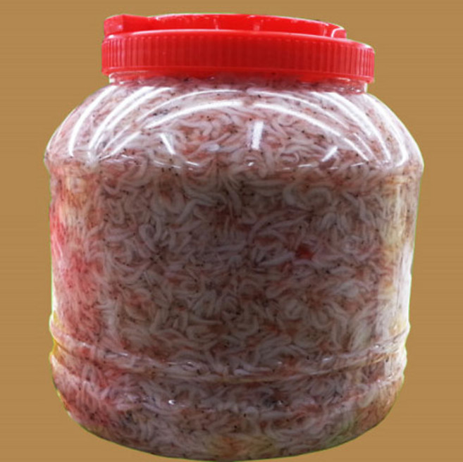 새우젓5kg, 100개, 495L