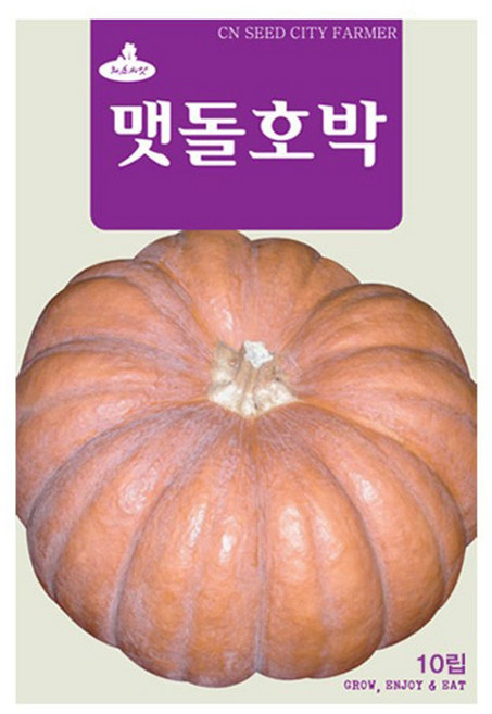 맷돌호박 씨앗 호박씨 10립, 1개