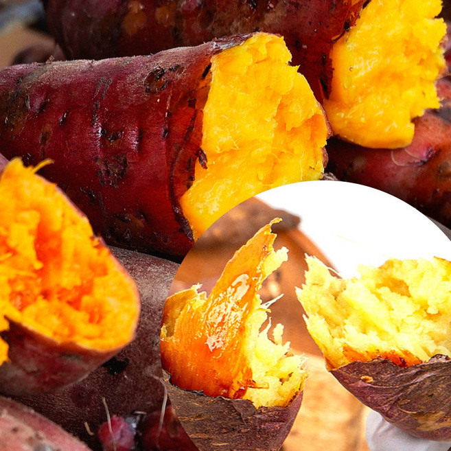 해남 황토밭 고당도 꿀밤 베니하루카 고구마 큐어링 숙성 제철 햇 자색 고구마 국내산, 1박스, 한입 3kg 세척