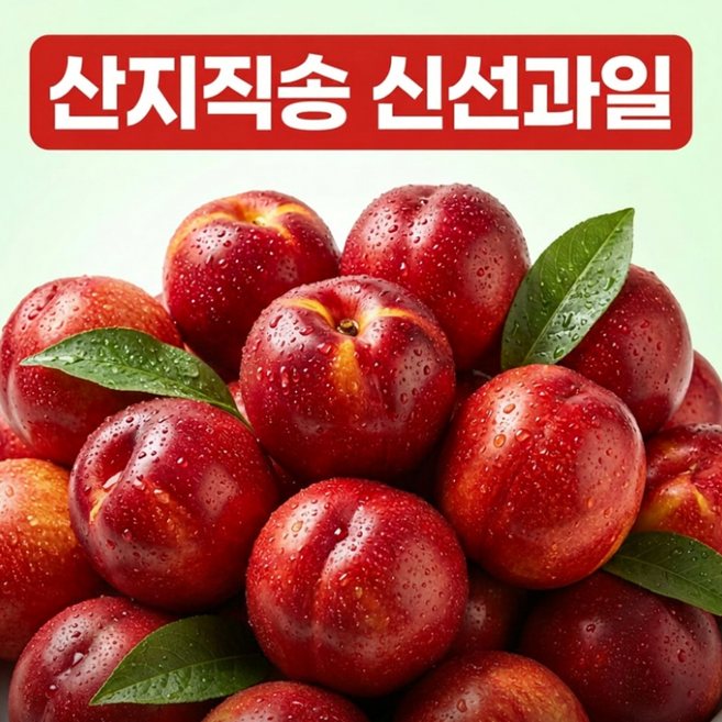 [특품 로얄] 천도복숭아 고당도 아삭달콤 제철 복숭아, 1박스, 5kg