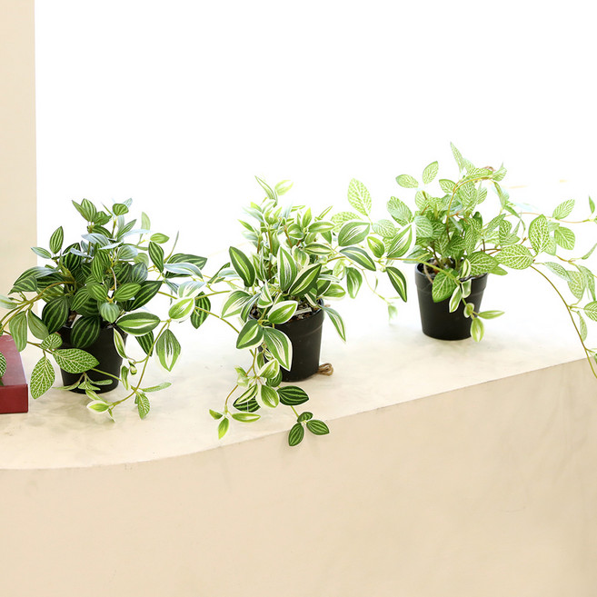 인테리어 조화 행잉플랜트 벽장식 가랜드 뉴행잉넝쿨화분, 혼합, 1세트