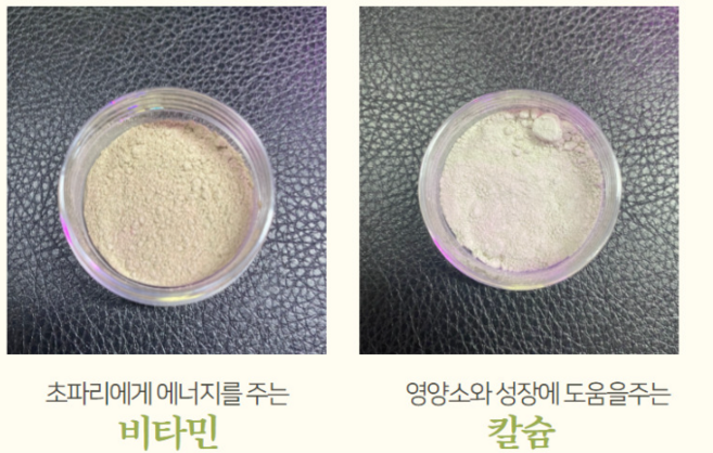 작은흔적날개초파리 개구리 사마귀 개미 게코먹이 실험용초파리, 비타민 + 칼슘, 비타민 + 칼슘, 1개