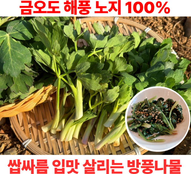 [바다 코 앞 노지재배 100%] 여수 금오도 산지 직송 봄 제철 해풍 방풍 나물 산지 직송, 1박스, 1kg