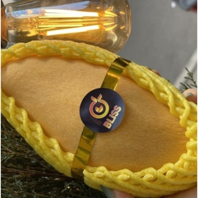 태국망고 블리스 망고 BLISS 남독마이, 1박스, 0 2KG