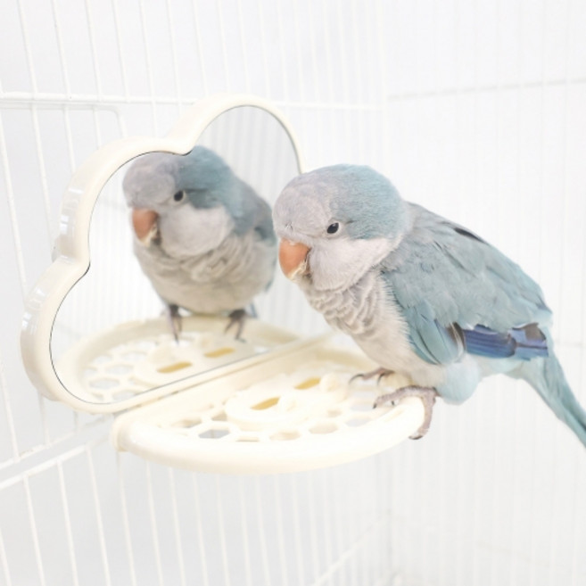 앵무새횃대 장난감 포레깅 거울화장대 소동물 뭉게구름 거울과 횃대 모이통 화이트