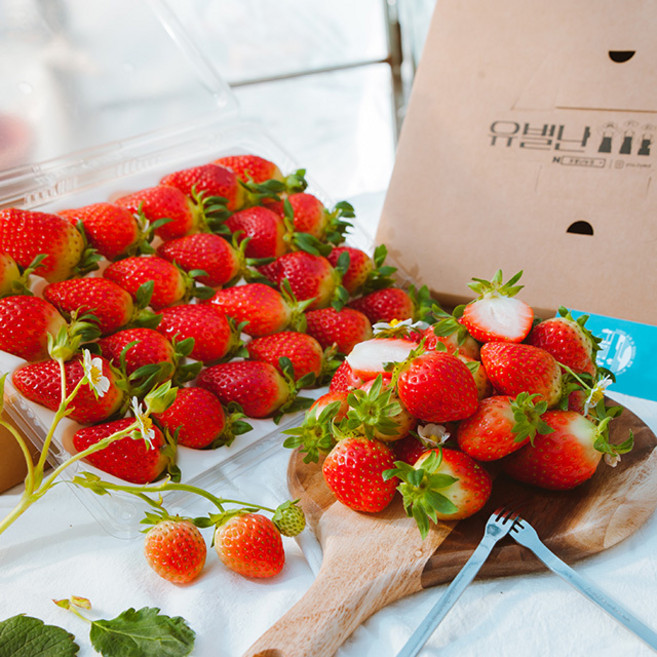 [산지직송] 당일수확 딸기 800g 유별난농장/선물포장, 1개, 옵션1
