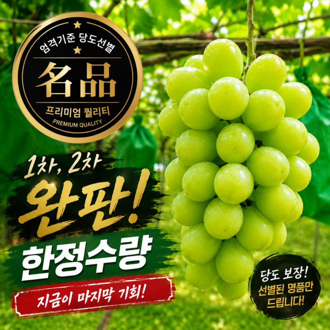 (재구매율1위) 프리미엄 청포도 고당도 샤인머스켓, 1박스, 2.4kg(3송이)