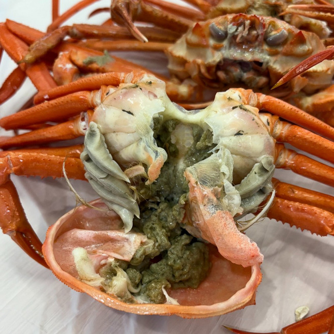 구룡포 프리미엄 박달 일반 연지홍게, 1개, 일반 연지홍게 3kg 6~10미내외