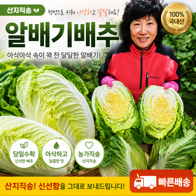 알배기배추 쌈배추 강원도고랭지 알배기 쌈채소 12개입/6개입, 6개, 500g