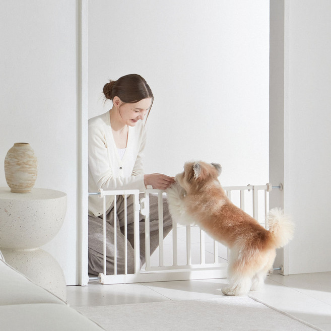 세이펫 42cm 안전문, 42cm안전문-중형, 1개, ,