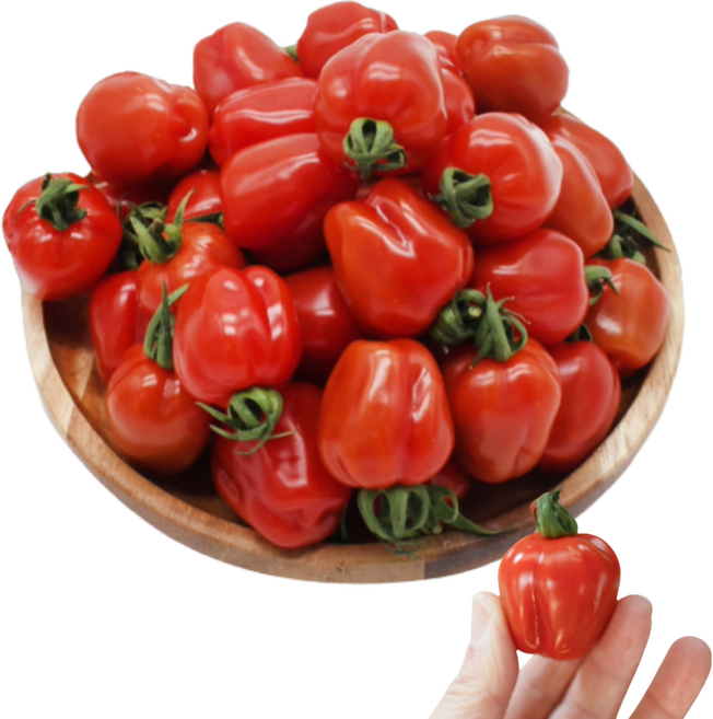 루비엘 토마토 전남담양 농민직접 산지한입, 1박스, 2kg(특상)