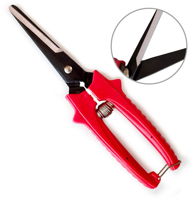 신성 톱니날 마늘양파가위 전정 전지 원예 SB304, 1개