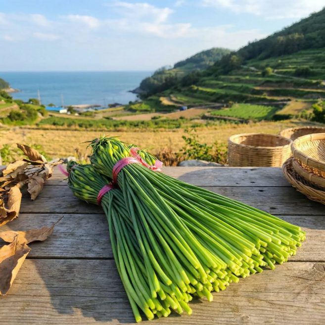 [다정한농산물] 국내산 남해 햇 마늘쫑 특품 선별, 1개, 1kg