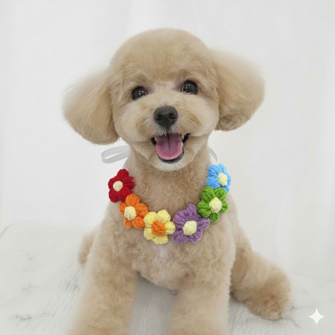 하니펫 반려동물 귀요미스카프 뜨게꽃레이스, 1개, 무지개