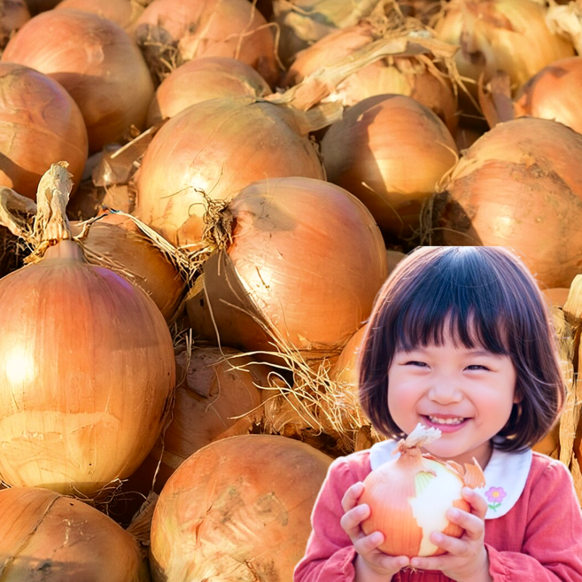 [품질보장] 단단한 무안 햇양파 최상품, 1박스, 5kg (소)