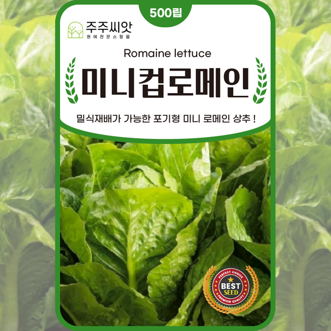 미니 로메인 상추씨앗 500립 아시아종묘 미니컵로메인 상추씨 종자 채소씨앗 봄 여름 가을 파종 작물, 1개