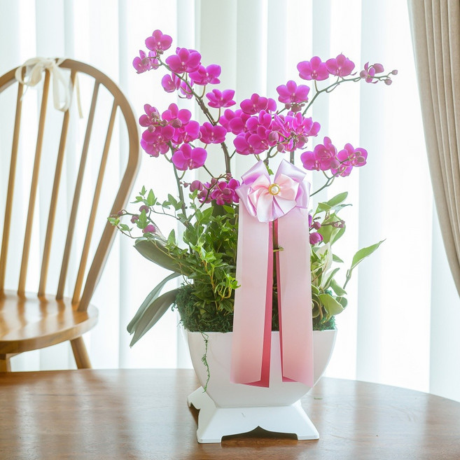 나눔플라워 전국 저가 서양란 취임 진급 승진 개업 승진란 개업란 진급란 축하 꽃배달서비스 당일꽃배달, 만천홍 소, 1개