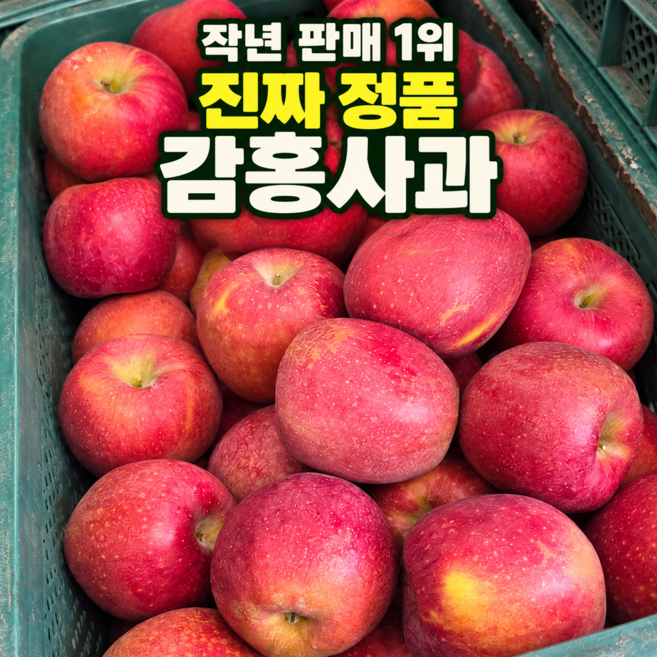 [작년판매1위] 꿀처럼달콤한 산지직송 햇 감홍사과, 1박스, 5kg