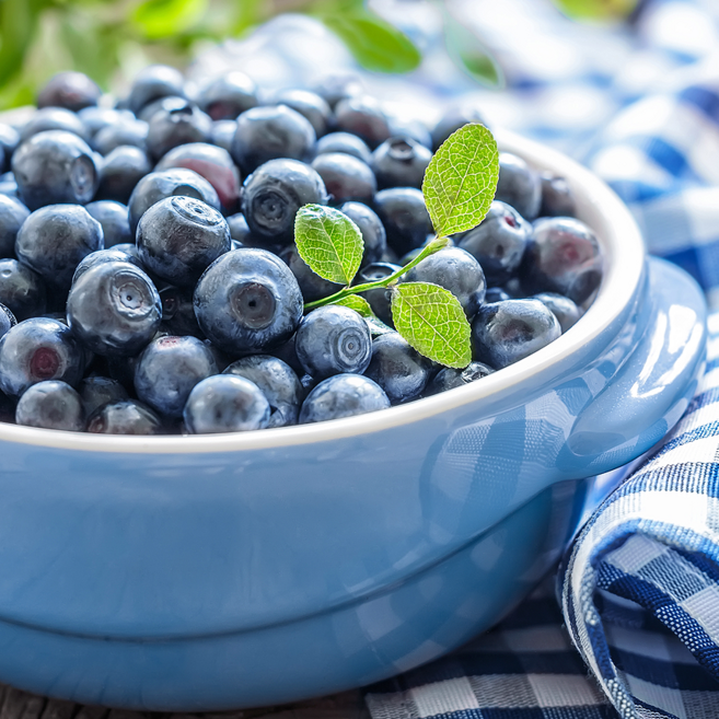 국산 생블루베리 블루베리 생과 왕사이즈 18mm이상, 100g, 10개