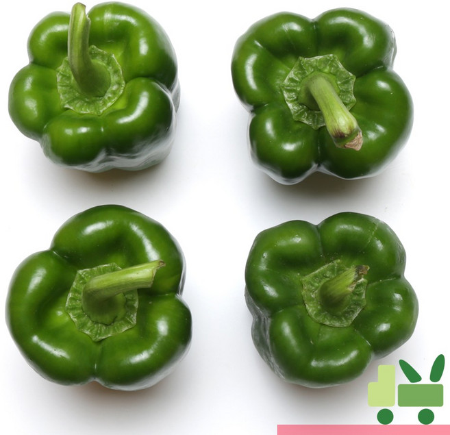 사라상회 청피망 5Kg (특), 1개
