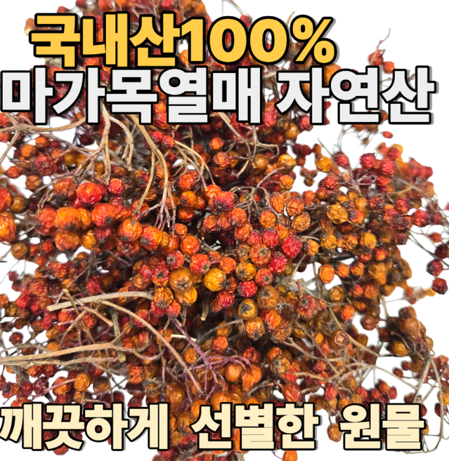 국산 마가목 열매(자연산) 200그람 1봉 산골산내음, 1개, 200g