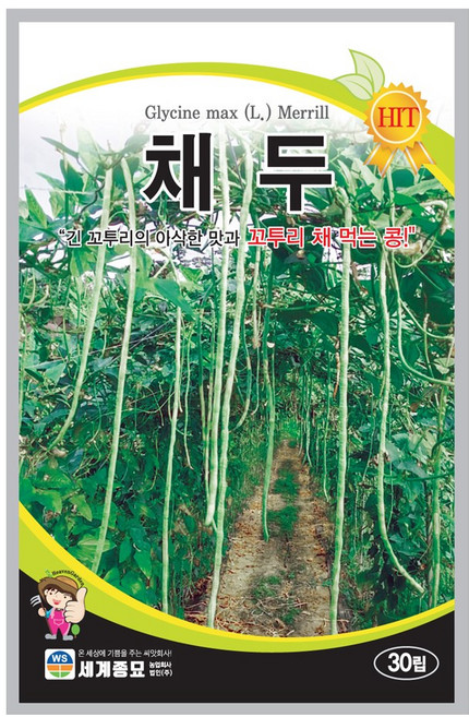 모칸도 씨앗 채두 씨앗 30립 세계종묘 꼬투리콩 채소씨앗 줄기채소씨앗, 1개