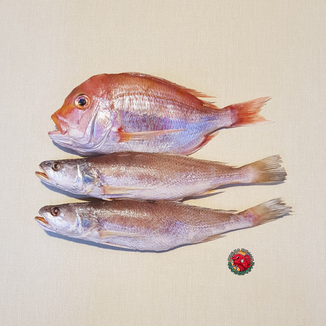 반건조생선 제수용생선 선물용 셋트 민어조기 2마리 꽃돔 1마리, 민어조기34cm2마리 꽃돔31cm1마리(소), 1개