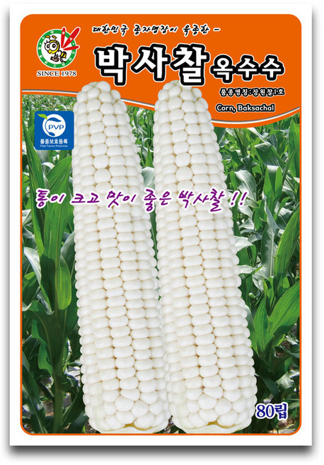 오스템 박사찰 옥수수 씨앗 80립, 1개