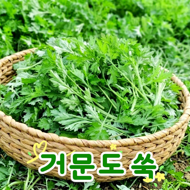 향긋한 쑥국용 쑥떡용 거문도 햇쑥 생쑥, 1박스, 500g