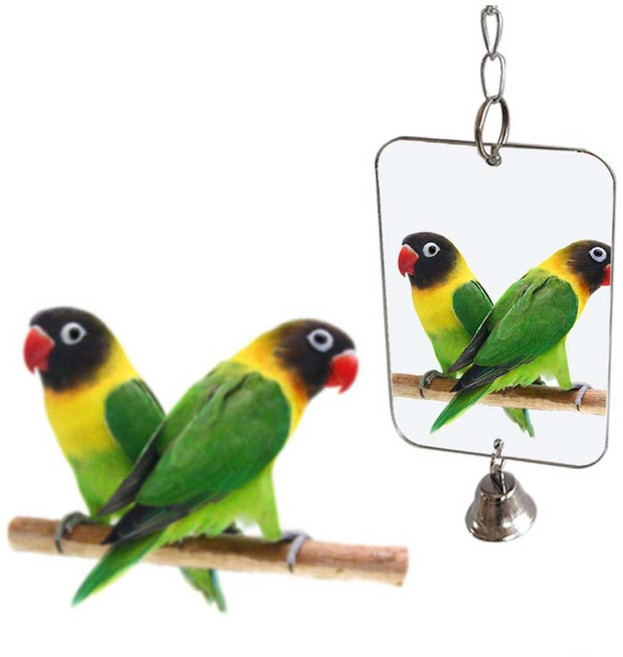 앵무새미러 거울 놀이 장난감 케이지 장식 애완동물, 앵무새미러GD02390, 1개